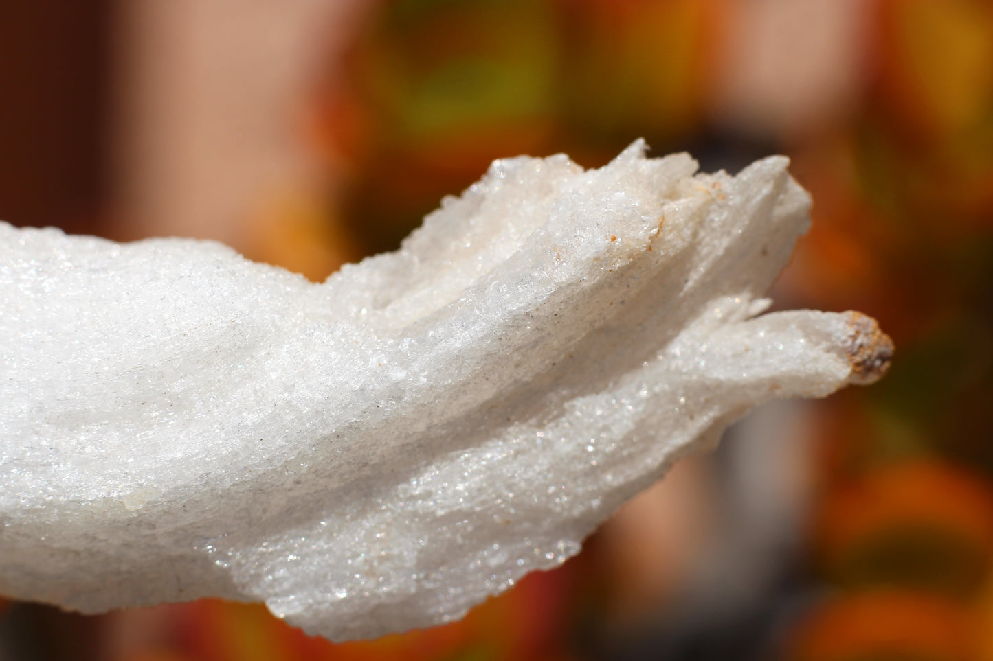 Gypsum Selenite