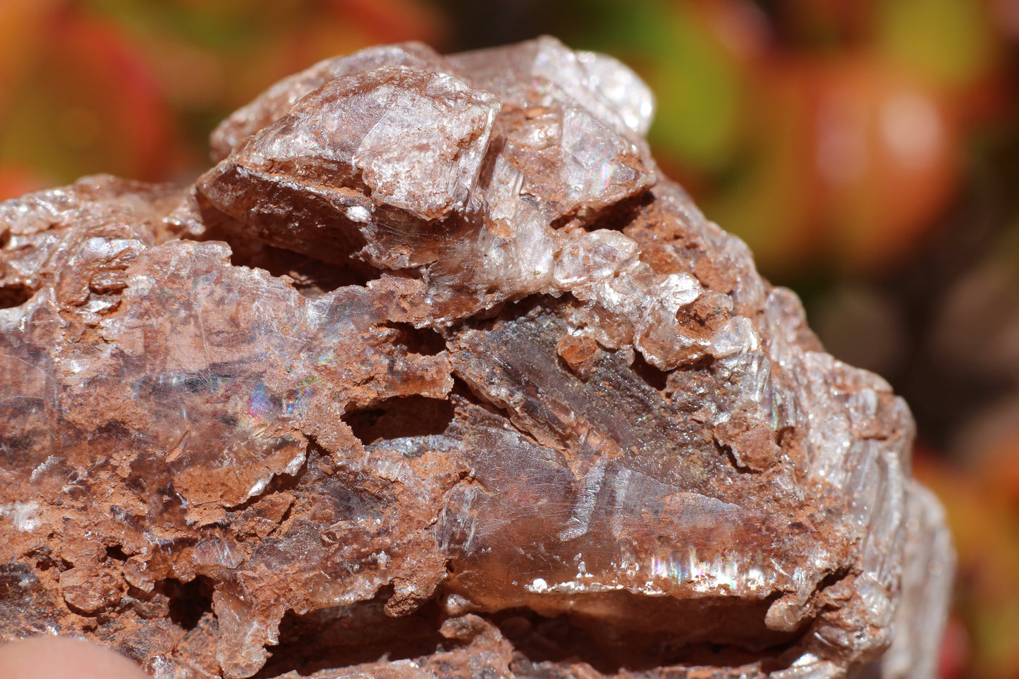 Red Selenite