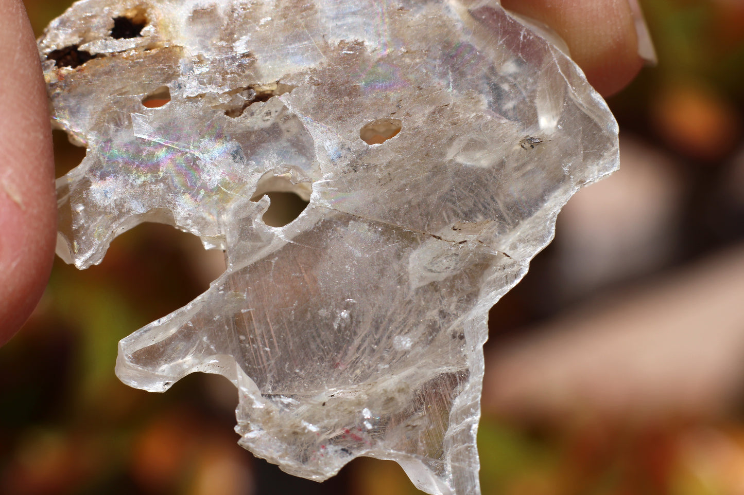 Optical Selenite