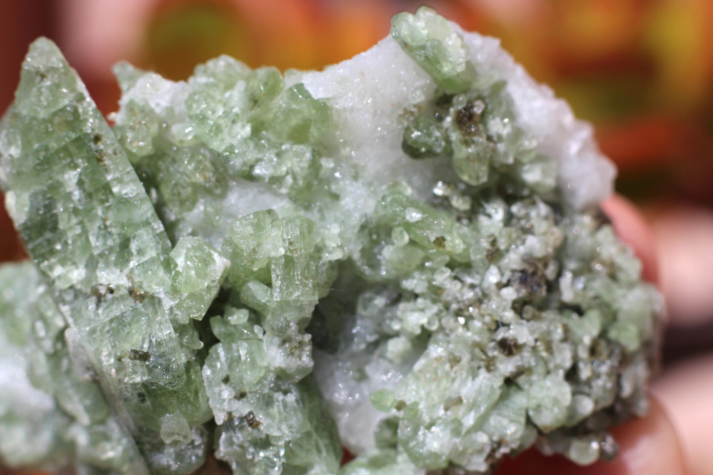 Diopside on Quartz w/ Mica