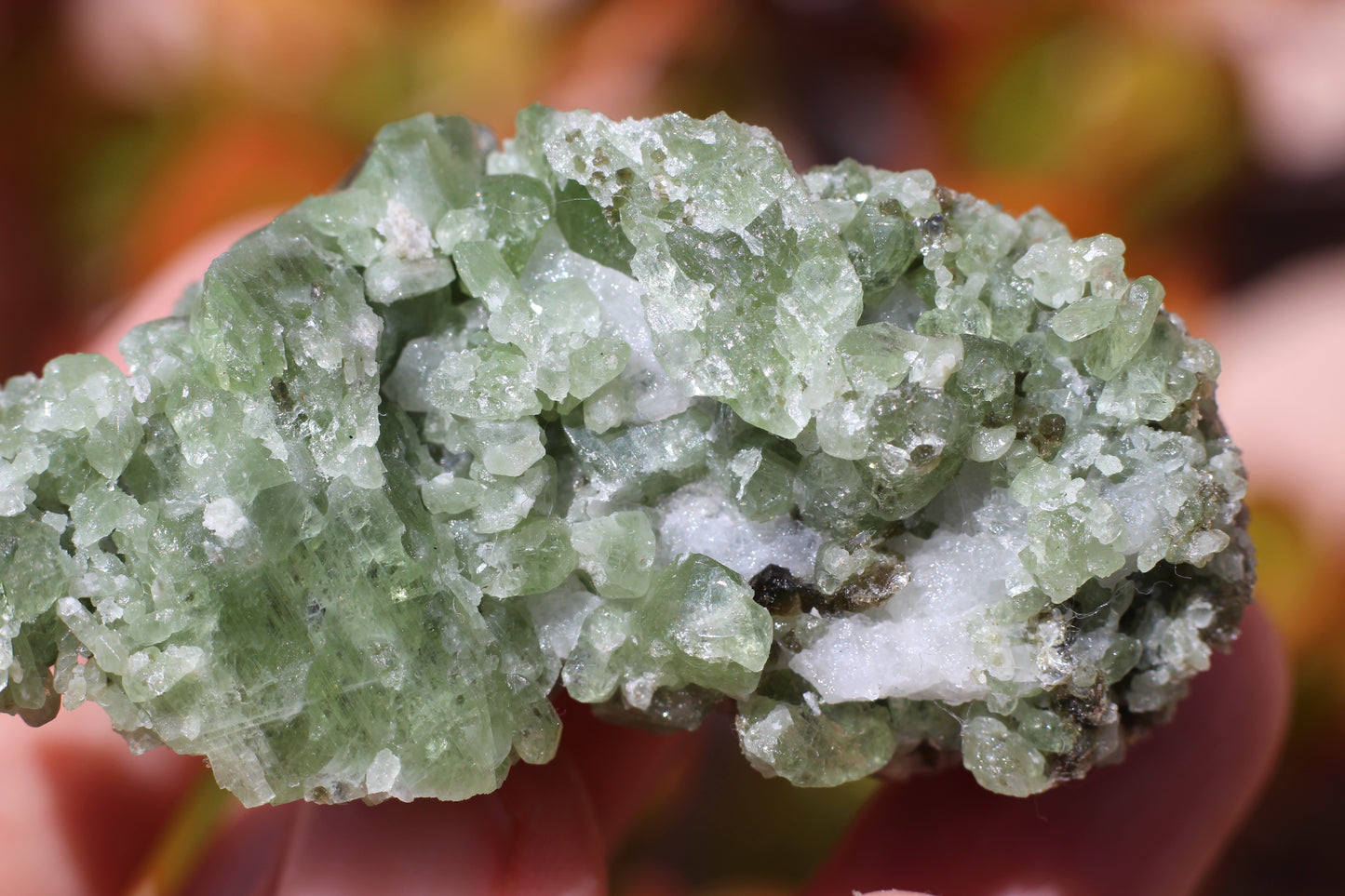 Diopside on Quartz w/ Mica