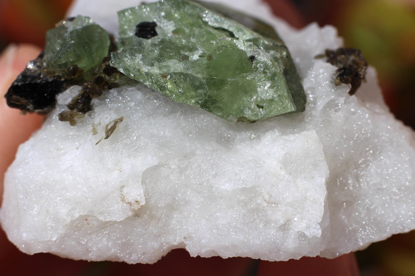 Diopside on Quartz w/ Mica