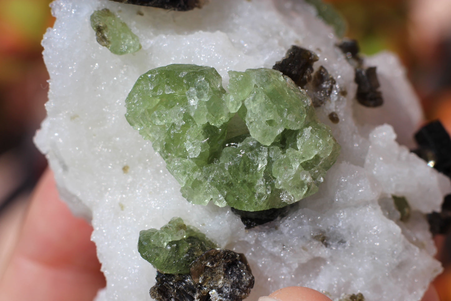 Diopside on Quartz w/ Mica