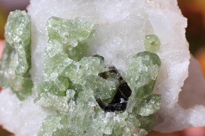 Diopside on Quartz w/ Mica