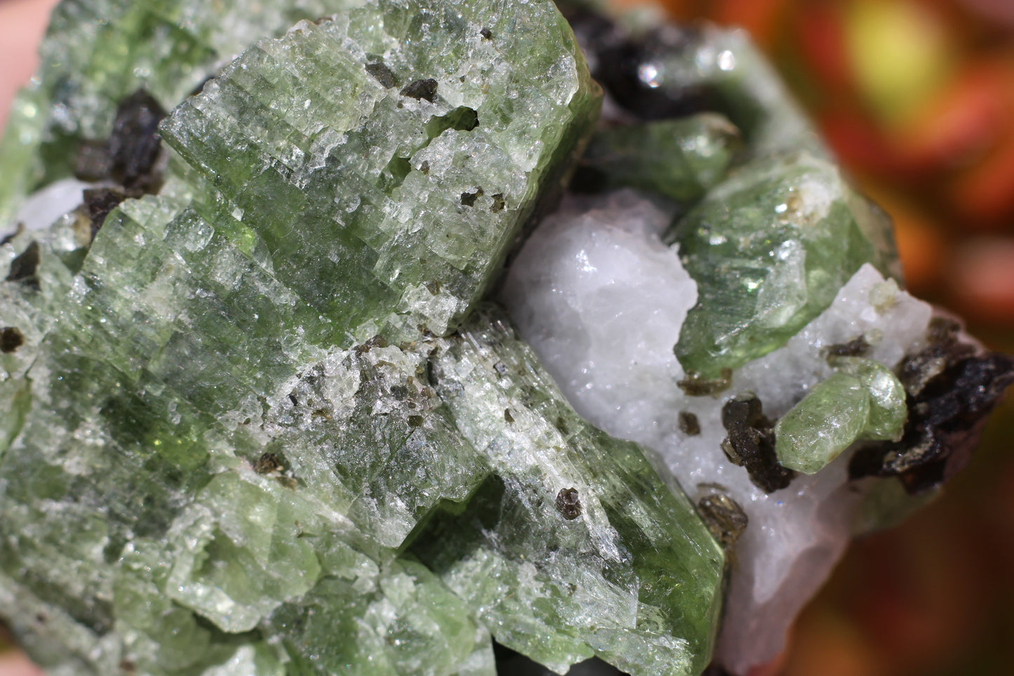 Diopside on Quartz w/ Mica