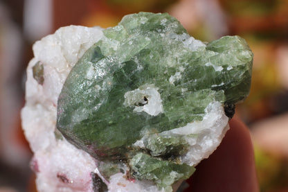 Diopside on Quartz w/ Mica