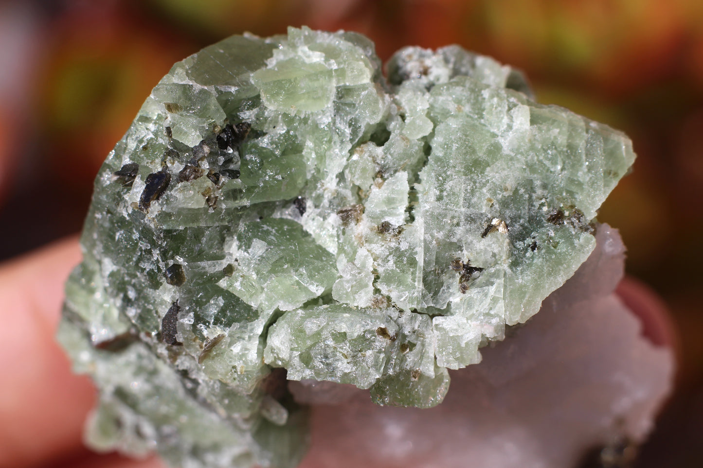 Diopside on Quartz w/ Mica