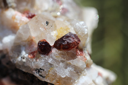 Spessartine Garnets on Quartz w/ Mica, Feldspar and Schorl