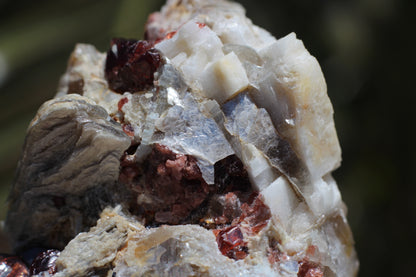 Spessartine Garnets on Quartz w/ Mica, Feldspar and Schorl