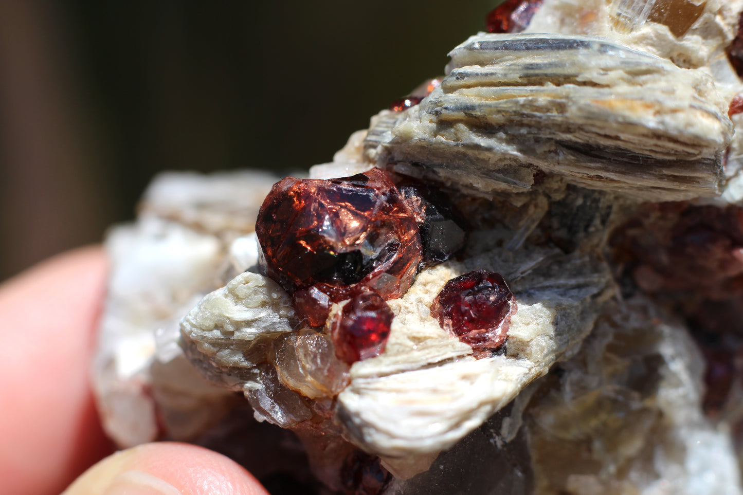 Spessartine Garnets on Quartz w/ Mica, Feldspar and Schorl