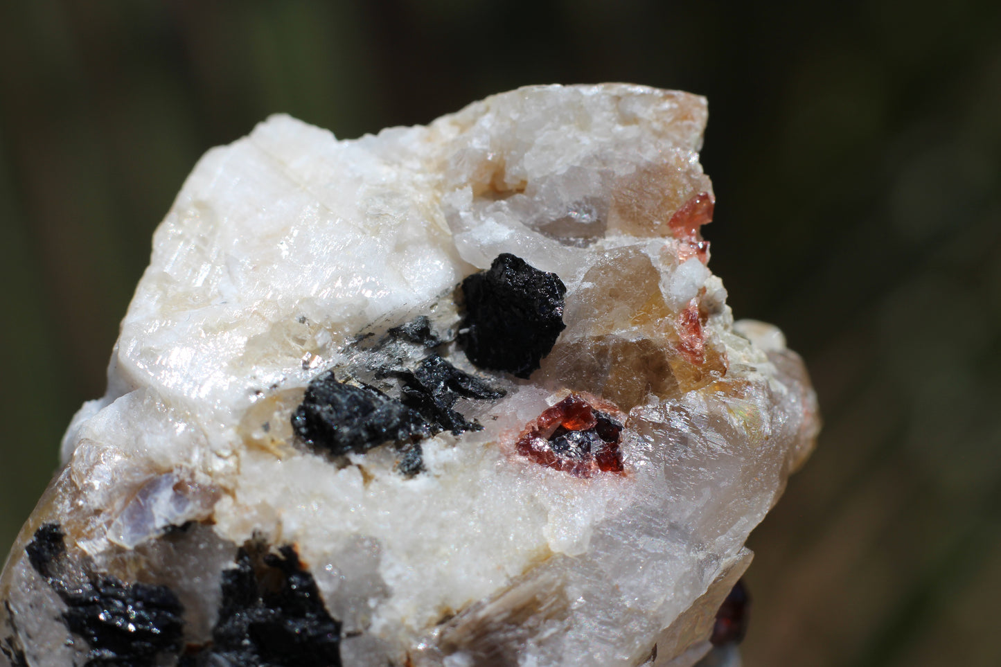 Spessartine Garnets on Quartz w/ Mica, Feldspar and Schorl