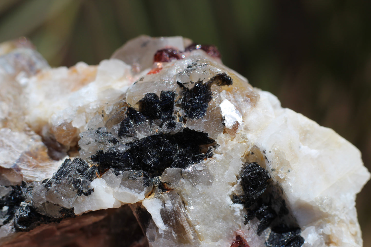 Spessartine Garnets on Quartz w/ Mica, Feldspar and Schorl