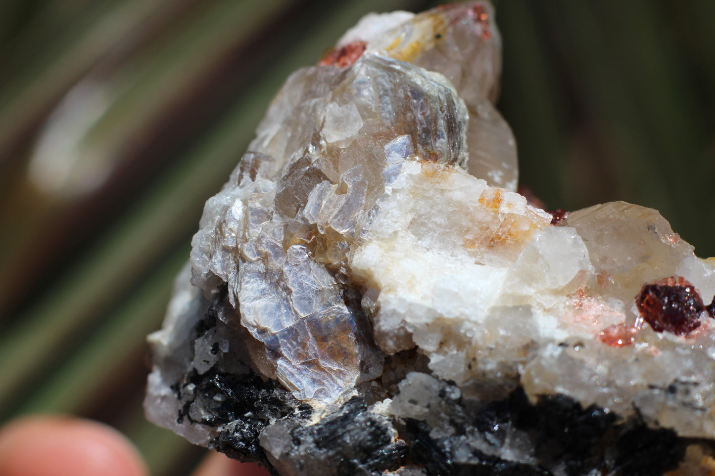 Spessartine Garnets on Quartz w/ Mica, Feldspar and Schorl