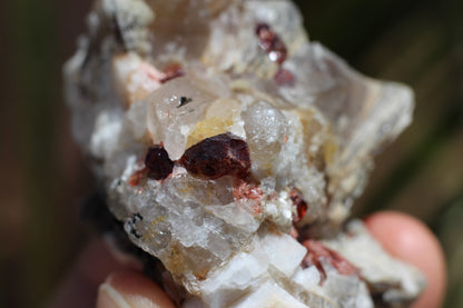 Spessartine Garnets on Quartz w/ Mica, Feldspar and Schorl