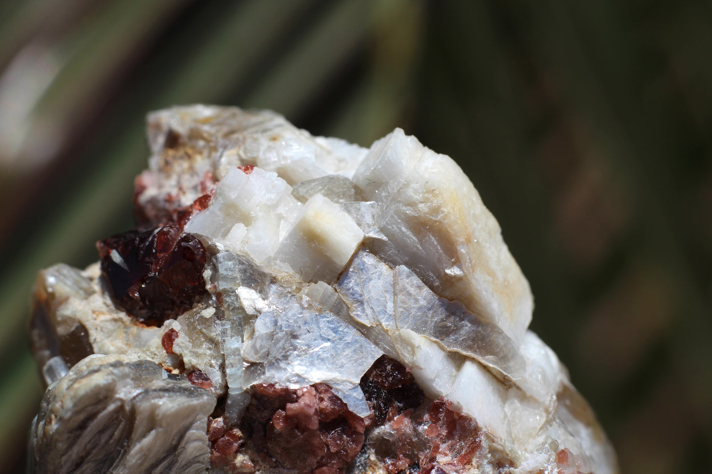 Spessartine Garnets on Quartz w/ Mica, Feldspar and Schorl