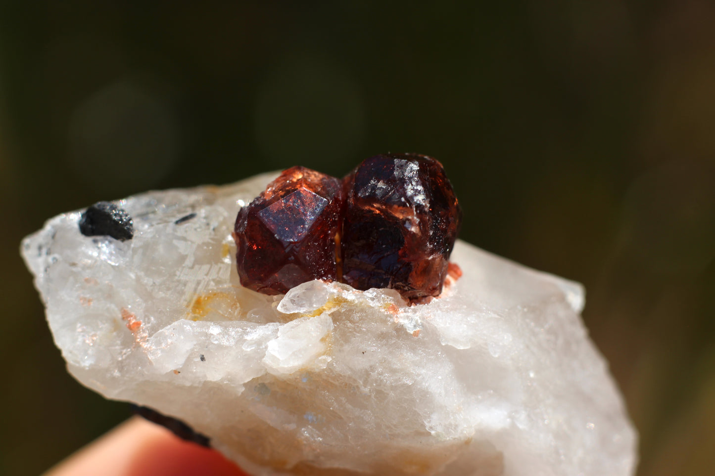 Spessartine Garnets on Quartz w/ Schorl