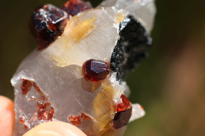 Spessartine Garnets on Quartz w/ Schorl