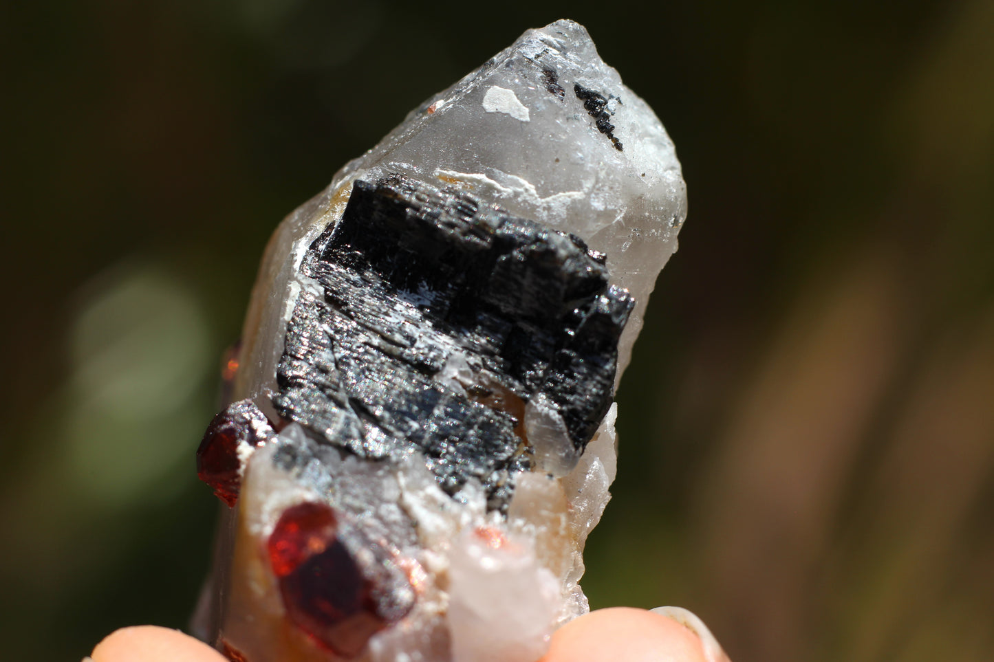 Spessartine Garnets on Quartz w/ Schorl