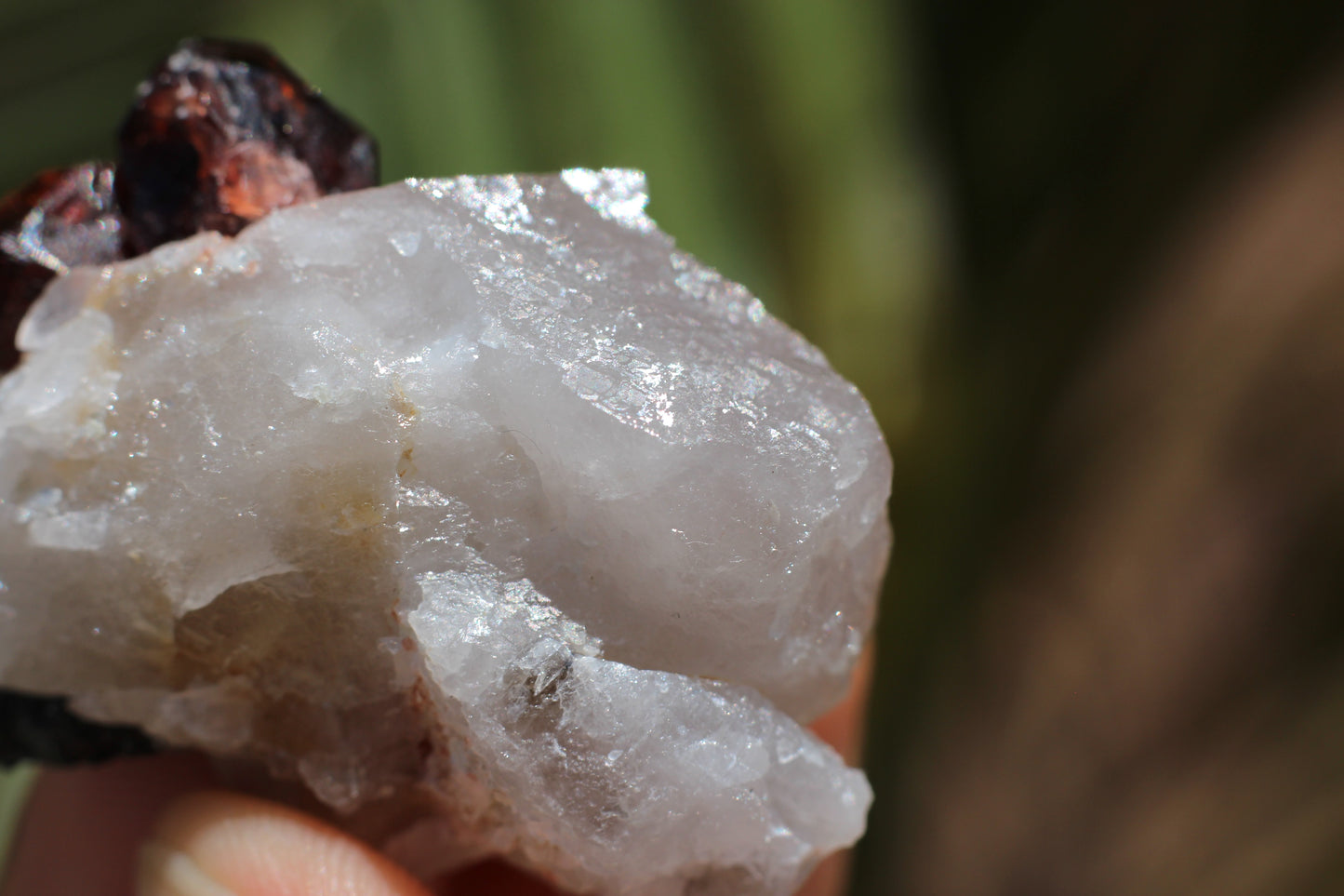 Spessartine Garnets on Quartz w/ Schorl