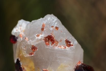 Spessartine Garnets on Quartz w/ Schorl