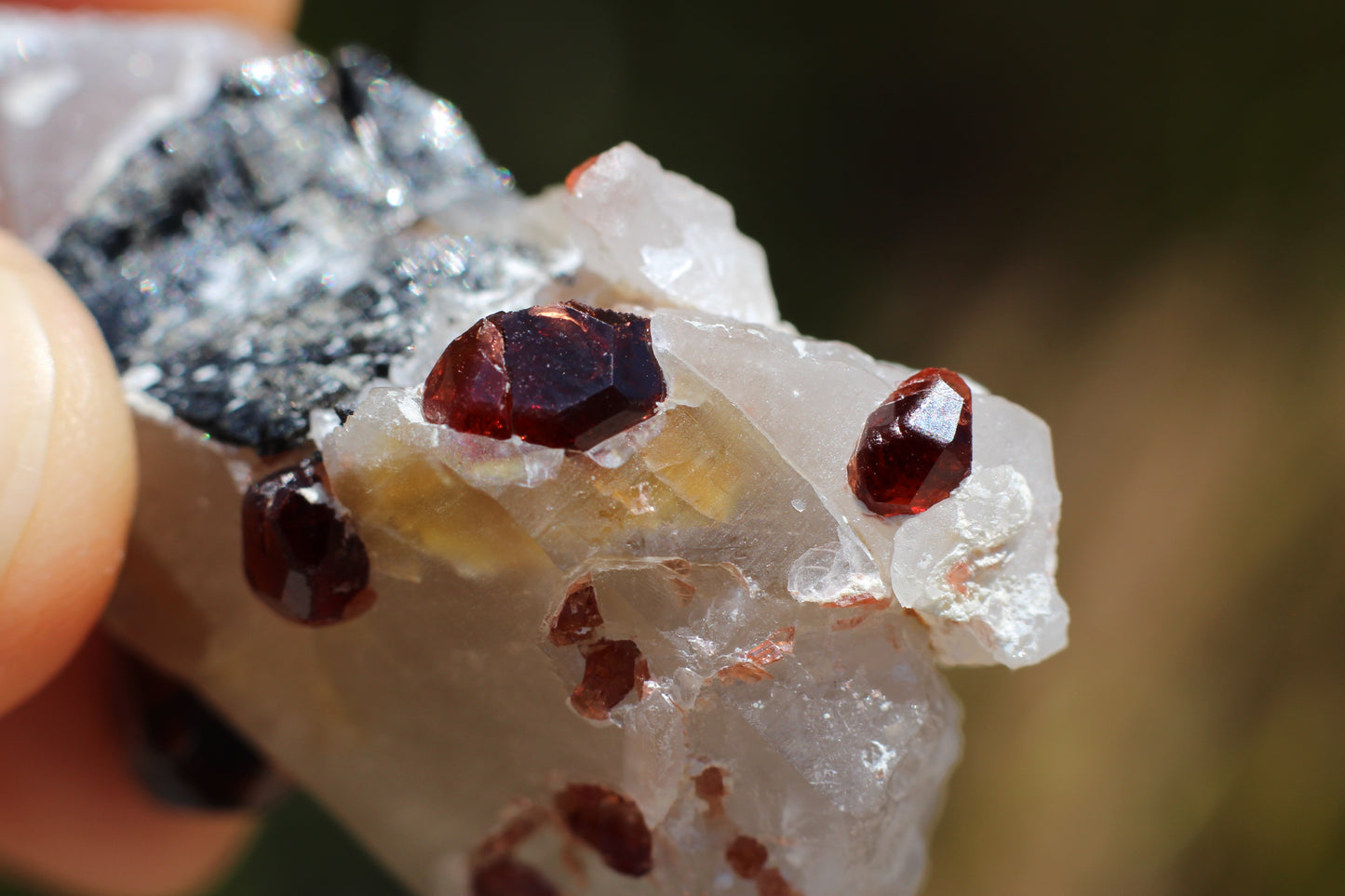 Spessartine Garnets on Quartz w/ Schorl