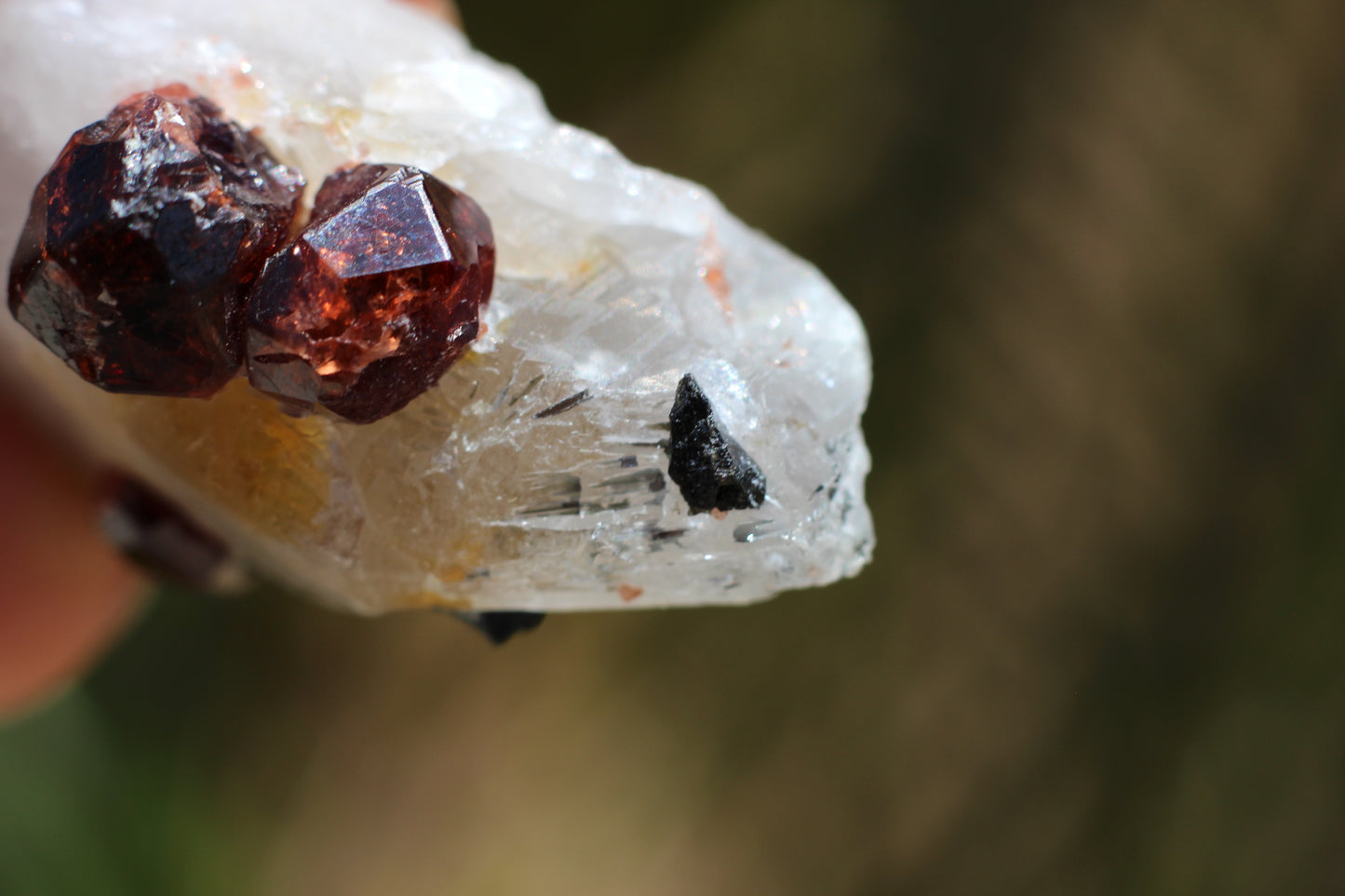 Spessartine Garnets on Quartz w/ Schorl