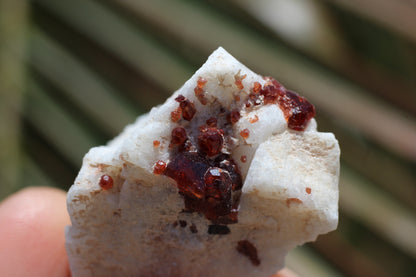 Spessartine Garnet on Feldspar