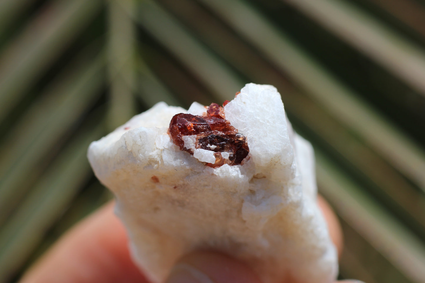 Spessartine Garnet on Feldspar