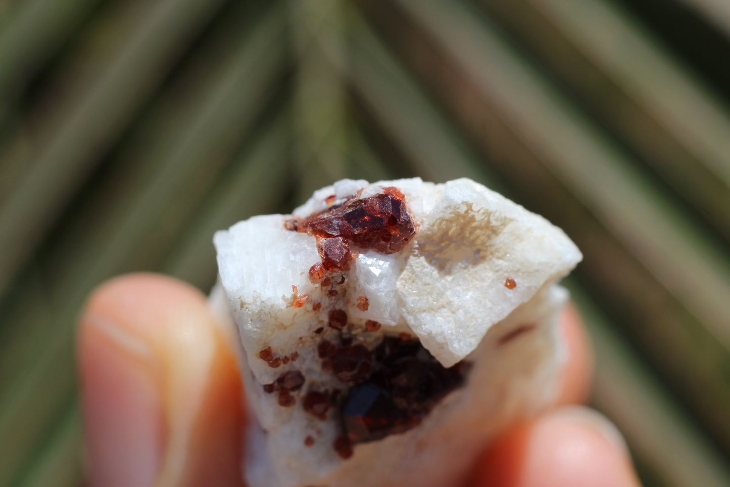 Spessartine Garnet on Feldspar