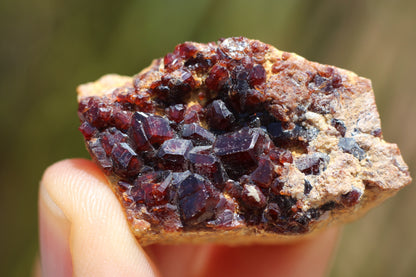 Spessartine Garnet on matrix